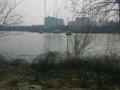 android_upload_pic-红莲湖