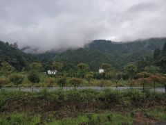 -石台牯牛降景区