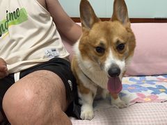-宠颐生中康贝怡动物医院
