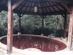 iphone_upload_pic-天目湖涵田度假村