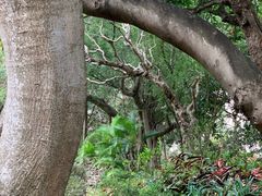 -九龙公园