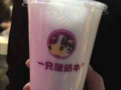 -大龙火锅(老店)