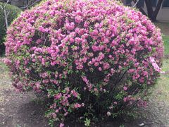 -中国建设银行哈尔滨培训中心