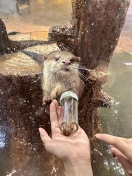 -Zoolung Zoolung动物主题公园(海信广场店)
