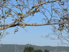 -光明小镇欢乐田园