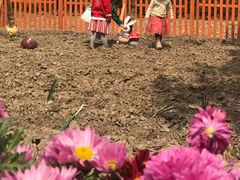 -上海市浦东新区恒宇幼儿园(杨南部)