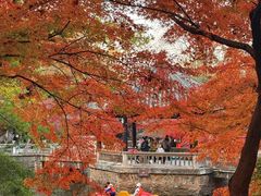 -虞山风景区