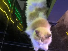 -暗楼·剧本杀·桌游