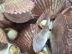 -正宗天津烧麦馆(柳州路店)