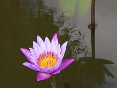 -沙美村