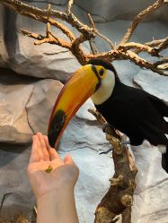 点击看大图 -Zoolung Zoolung动物主题公园(海信广场店)