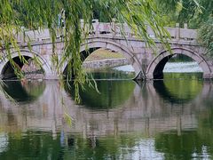 -上海共青森林公园