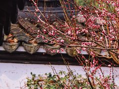 -郭庄景区