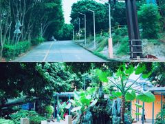 -荔城生鲜盛宴(番禺旗舰店)
