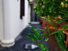 -磁器口古镇