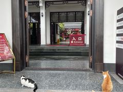 -江心屿景区
