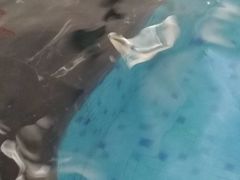 -蓝海岸温泉洗浴