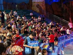 -烟台海昌鲸鲨海洋公园