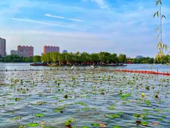-济南大明湖景区