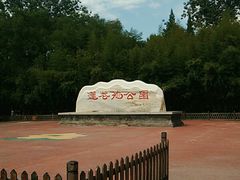 -莲花池公园