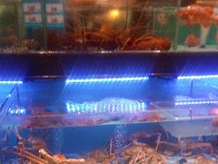 -阿伟海鲜楼·福建菜(延寿店)