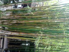 android_upload_pic-新竹里馆·花园餐厅(兴苑路店)