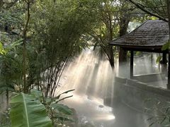 -厦门园林博览苑