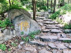 -阳台山自然风景区