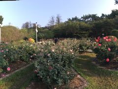 -人民公园(罗湖区)