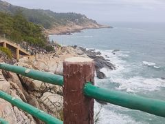 -广东惠东海龟国家级自然保护区