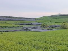 -龙坞茶村