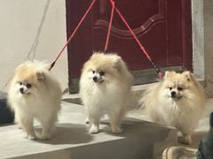 -北方饺子王·海肠捞饭·海鲜锅(山大店)