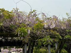 -双拥公园