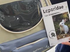 -爱侣宠医·鹦鹉专科·小型哺乳类·异宠专科(灵石路店)