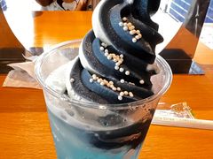 -大阪海游馆