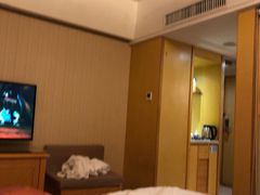 -维也纳国际酒店(北京首体店)