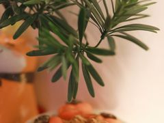 -红小满休闲餐厅(十全街店)