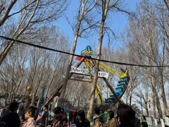 -长白岛森林公园