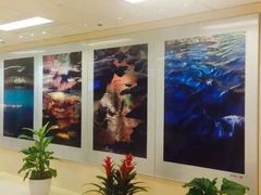 圣德肋撒医院-圣德肋撒医院
