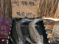 -边江铁锅炖鱼(振八街店)