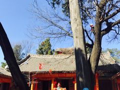 -少华山国家森林公园