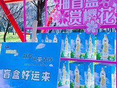 -东湖磨山景区