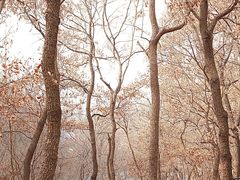 -沂蒙山旅游区云蒙景区(蒙山国家森林公园)