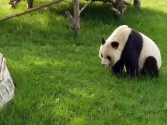 -西安秦岭野生动物园