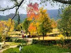 -塔川景区