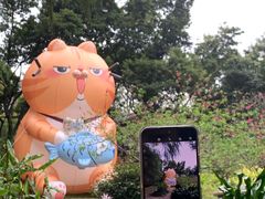 -广州兰圃