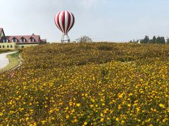 -歌斐颂巧克力小镇