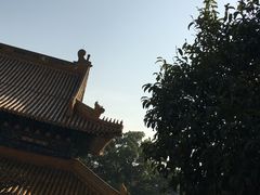 -普陀山风景名胜区-法雨禅寺