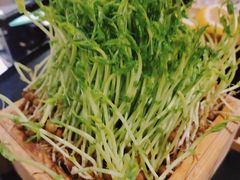 -凤园椰珍·臻品椰子鸡(保利时光里店)