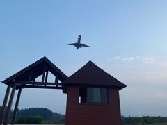 -空港花田景区